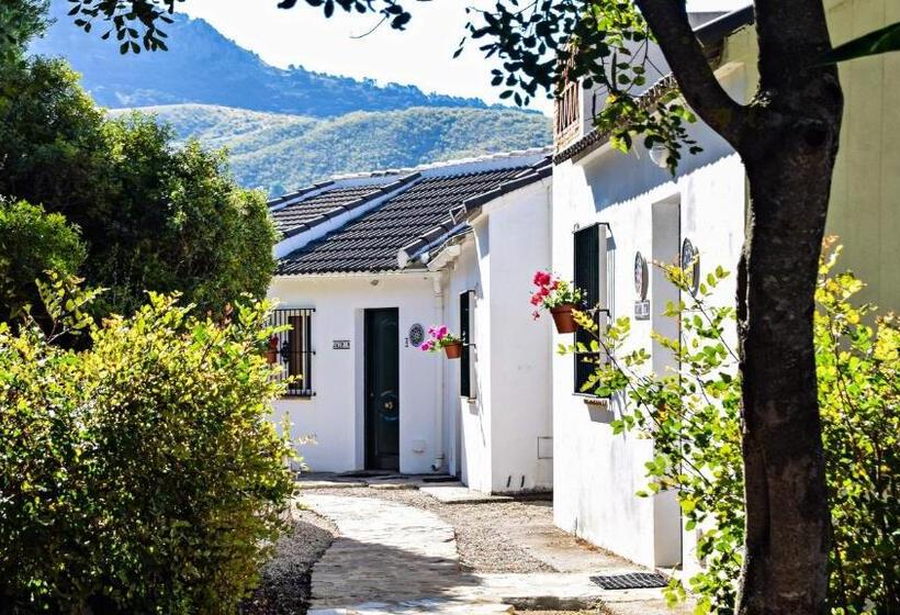 Студио Стандарт с Видом, Casas Rurales Los Algarrobales