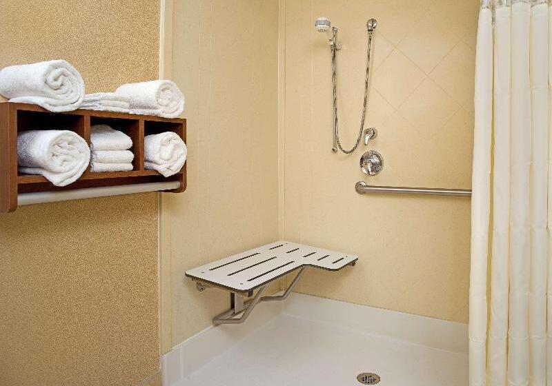 Номер Стандарт Адаптированный для Инвалидов, Hampton Inn & Suites Rochester North