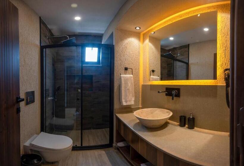 اتاق اکونومی یک تخته, Villa Siesta Hotel Istanbul Airport