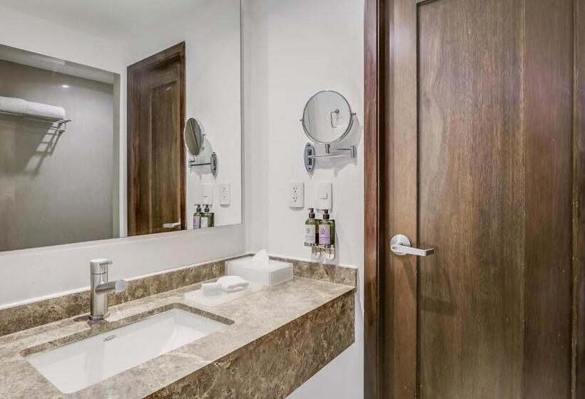 Номер Superior Кровать Кинг, Fiesta Inn Insurgentes Sur
