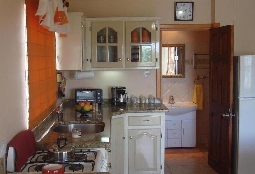 استودیوی استاندارد, Bayside Villa St. Lucia