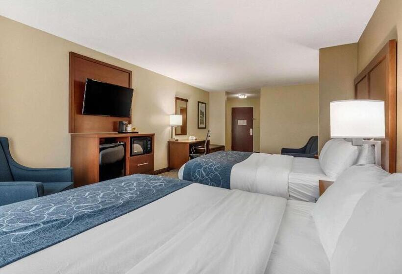 סוויטה מותאמת לאדם עם מוגבלויות, Comfort Suites Daytonwright Patterson