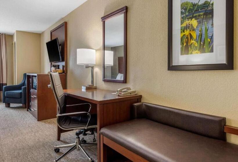 סוויטה מותאמת לאדם עם מוגבלויות, Comfort Suites Daytonwright Patterson