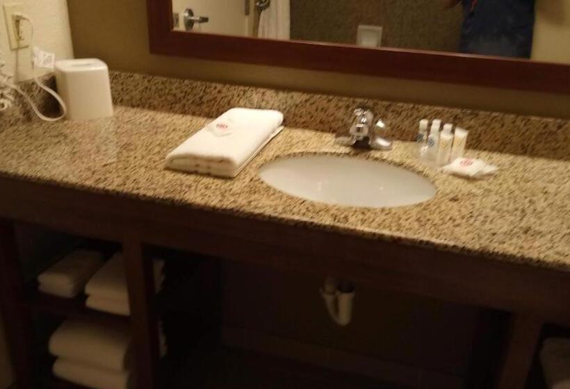 스위트, Comfort Suites Golden Isles Gateway