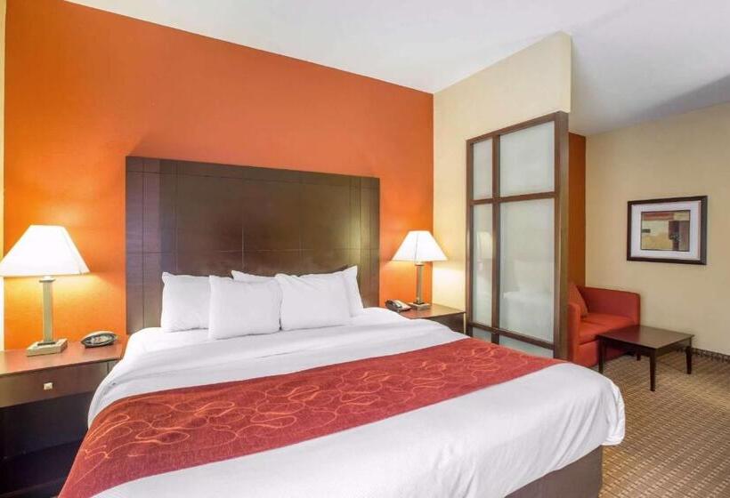 장애인을 위한 스위트, Comfort Suites Golden Isles Gateway