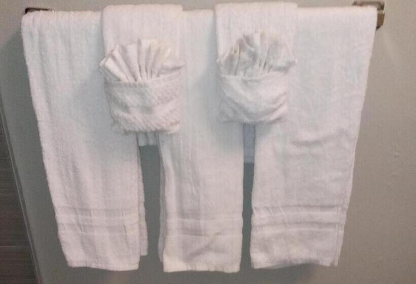 스탠다드 룸 킹사이즈 침대, Downtown Inn