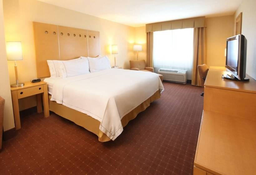 スイート, Holiday Inn Express Hotel & Suites Cd. Juarez   Las Misiones, An Ihg
