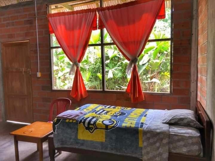Номер Стандарт, Misahualli Laguna Paikawe B&b