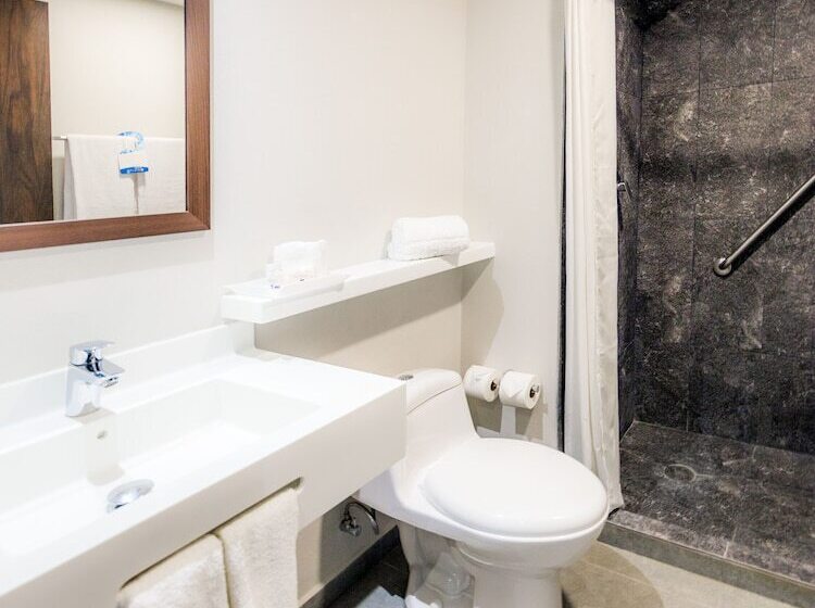 Standard Room 2 Double Beds, Sleep Inn Guadalajara Galerias