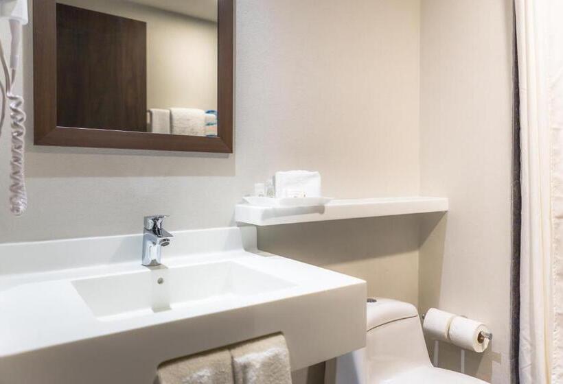 Standard Room 2 Double Beds, Sleep Inn Guadalajara Galerias