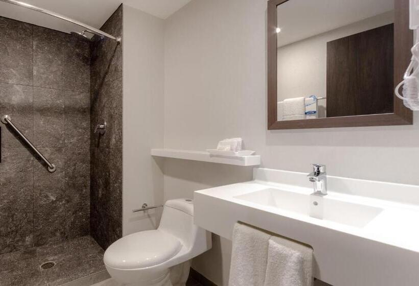 Standard Room, Sleep Inn Guadalajara Galerias