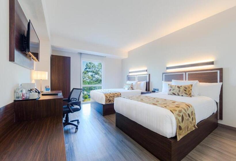 Standard Room 2 Double Beds, Sleep Inn Guadalajara Galerias