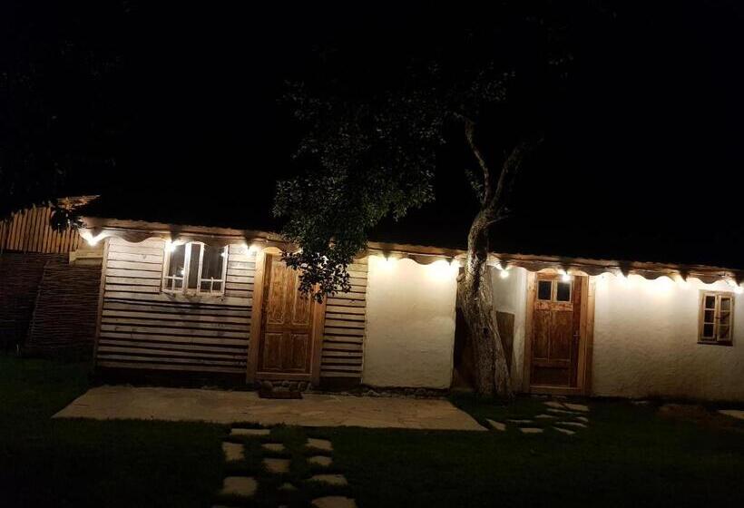اتاق اکونومی, Joyard   Pensiune & Parc