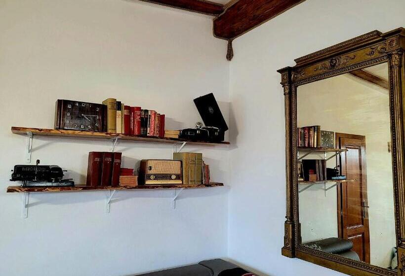 ویلای سوپریور 1 خوابه, Joyard   Pensiune & Parc