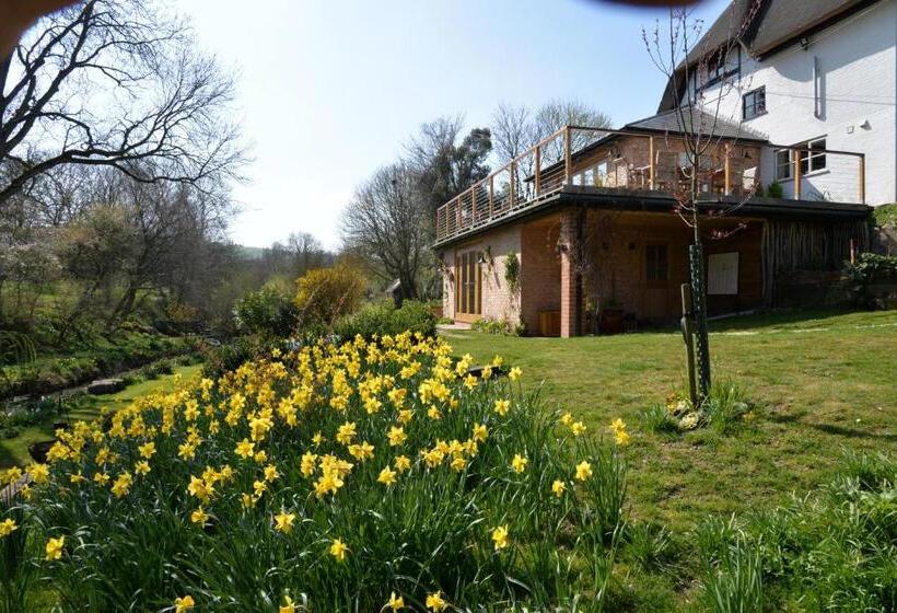 스탠다드 룸, Thatchcombe B&b