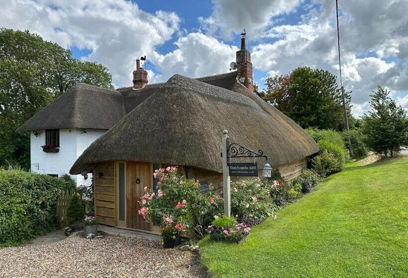 디럭스 룸, Thatchcombe B&b