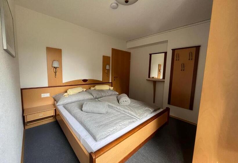 إستوديو ديلوكس, Apartments Hohenberger