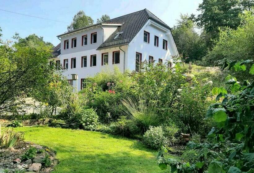 Номер Стандарт, Alte Mühle