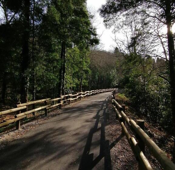 Номер Стандарт, Bikeinn