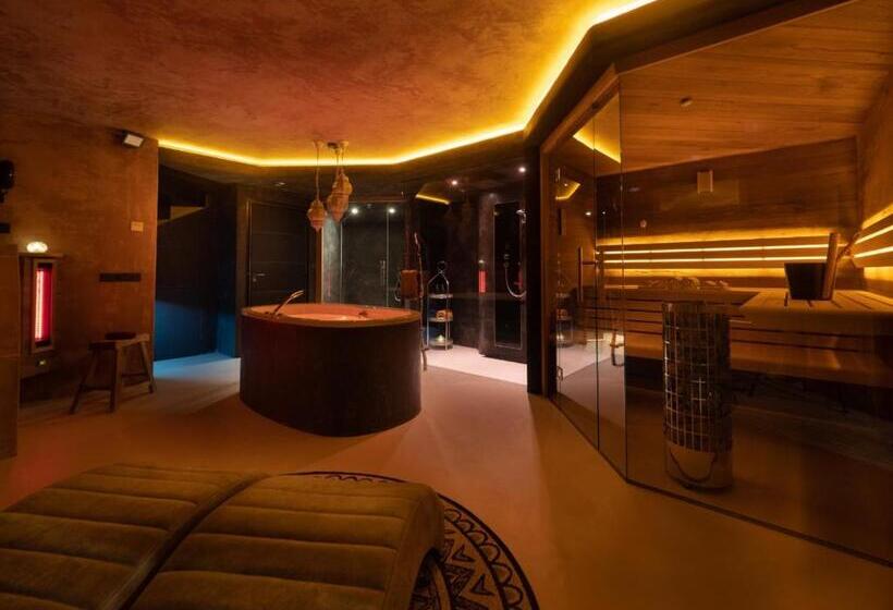 스위트, Dreams And Wellness