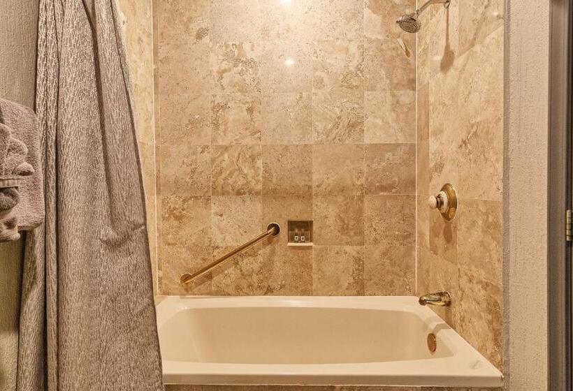 آپارتمان 1 خوابه با چشم‌انداز دریا, Sonoran Sea 310 W   Modern 1 Bedroom