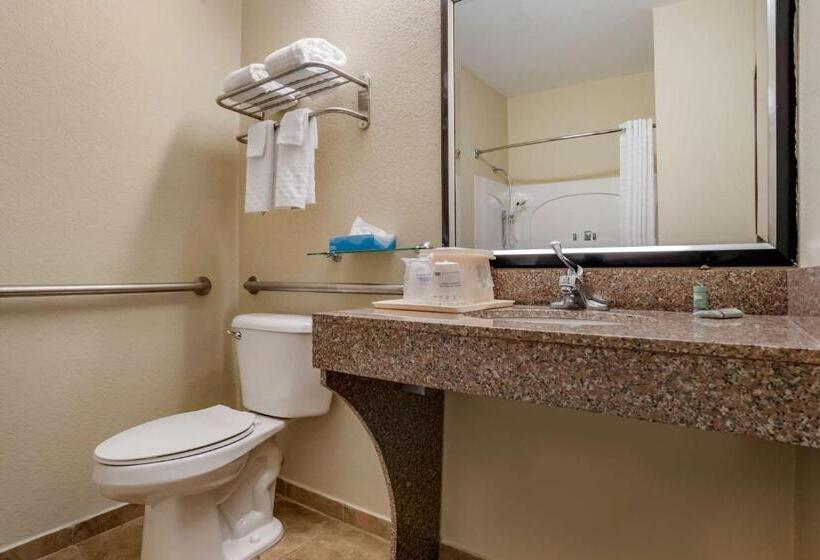 장애인을 위한 킹사이즈 침대 스탠다드 룸, Best Western Troy Inn