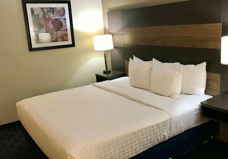 스탠다드 룸 킹사이즈 침대, Best Western Troy Inn
