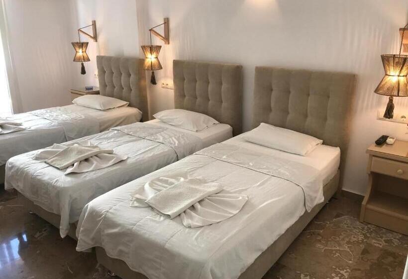 Номер Стандарт Трехместный, Vassiliki Rooms