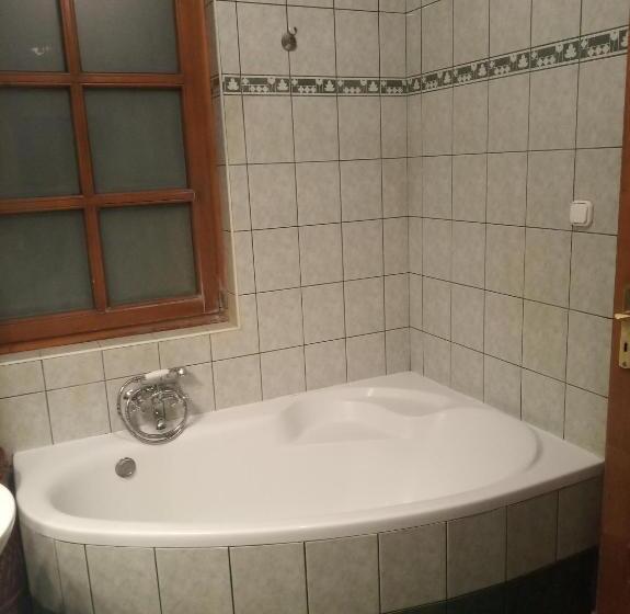 Апартаменты 1 Спальня с Террасой, Vendégház A Csabay Kúriához