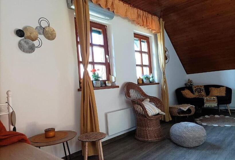 Апартаменты 1 Спальня, Vendégház A Csabay Kúriához