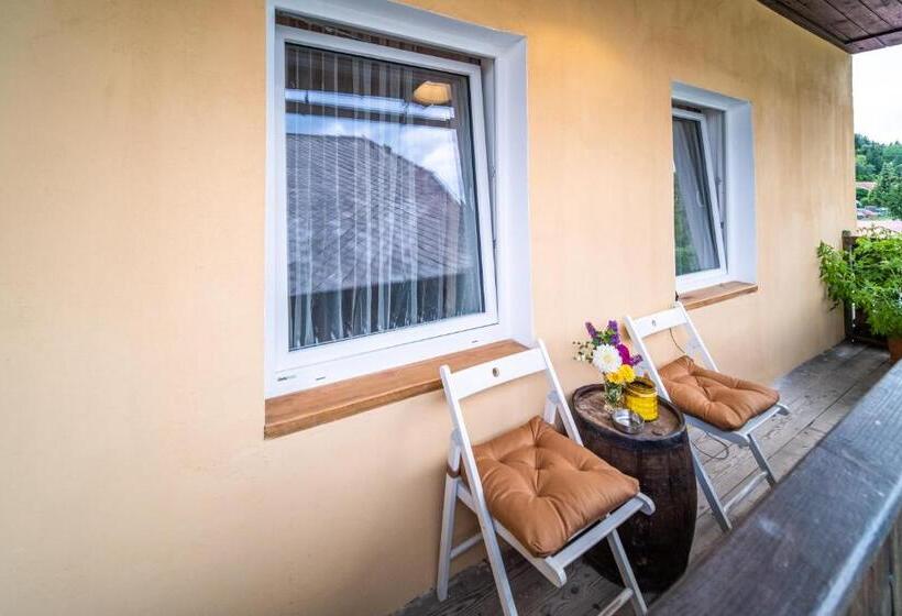 Номер Стандарт с Балконом, Villa Theresienhof