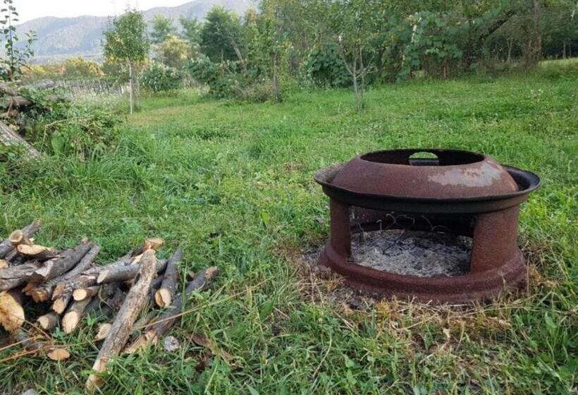 Номер Стандарт, Pensiunea Adeluta