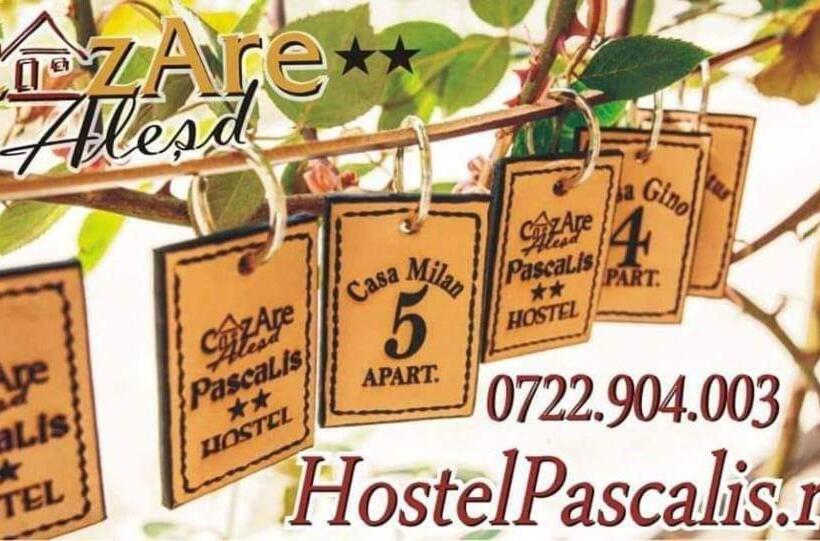 패밀리 스위트, Hostel Pascalis Alesd