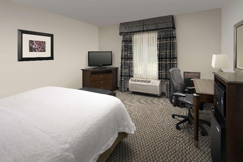 غرفة قياسية سرير كينج, Hampton Inn & Suites Athens I 65