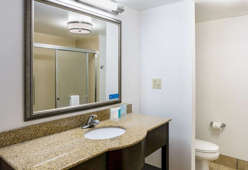 Номер Стандарт, Hampton Inn & Suites Toledoperrysburg