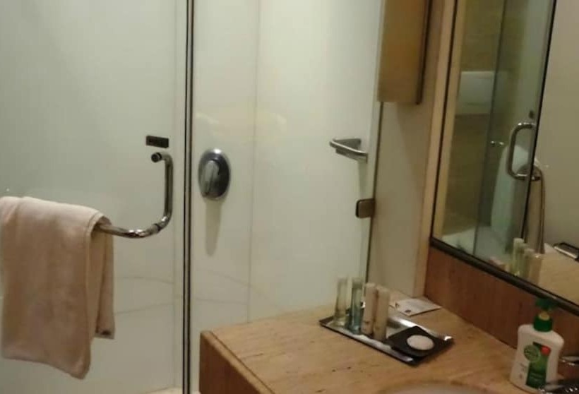 Номер Executive, Mirage Hotel, Mumbai International Airport