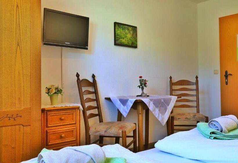 Номер Стандарт, Pension Adler