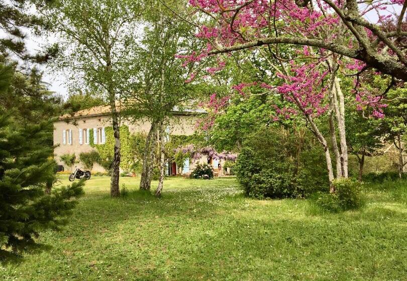 Люкс, Château De Cartou