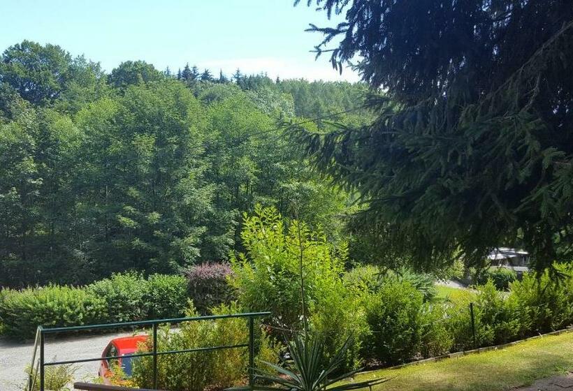 Номер Стандарт Вид на Сад, Pension Waldfrieden