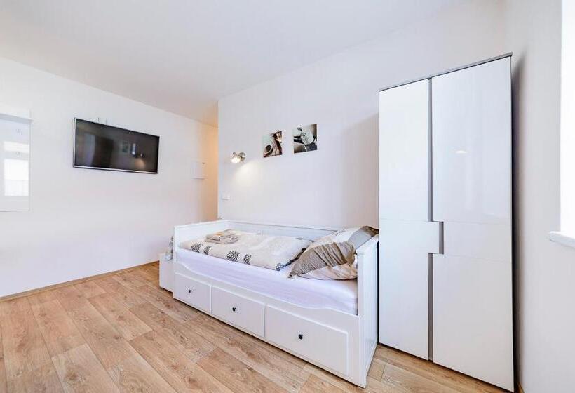 带1个卧室的豪华公寓, Slovanský Penzion