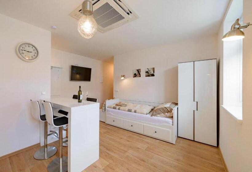 带1个卧室的豪华公寓, Slovanský Penzion