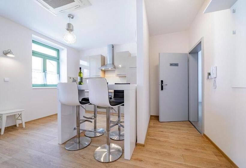 带1个卧室的豪华公寓, Slovanský Penzion