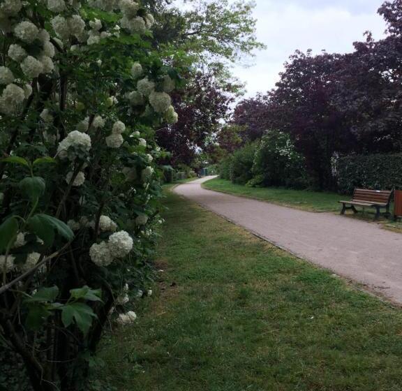Номер Стандарт, Les Camélias