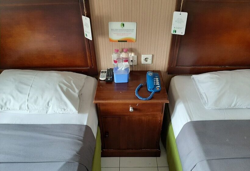 اتاق سوپریور, Gloria Amanda