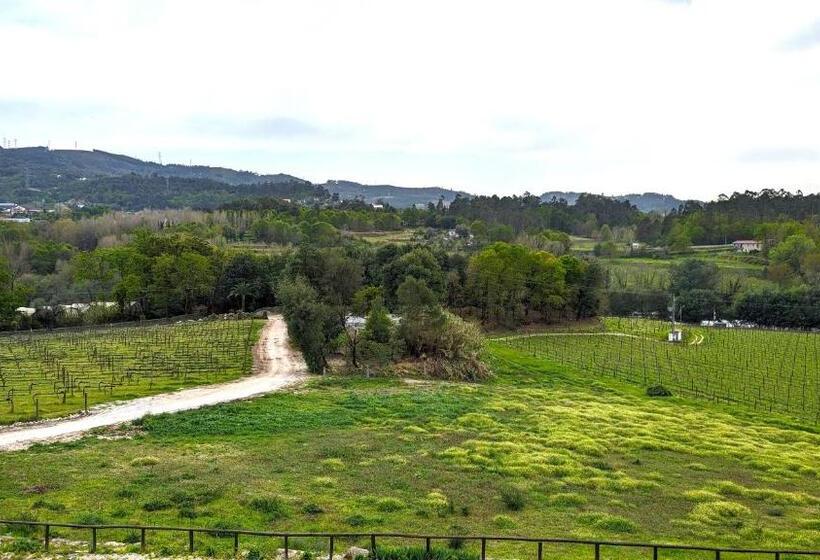 Standard Szoba, Quinta Do Burgo   Nature