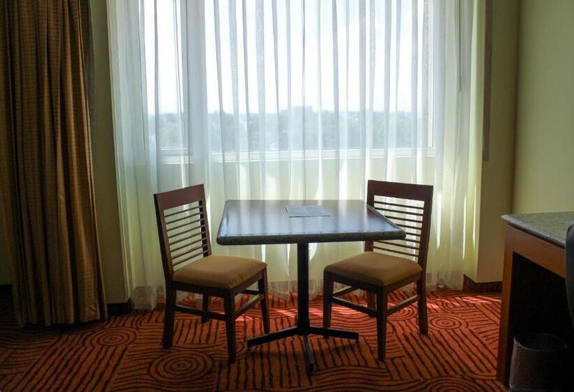 اتاق استاندارد, Holiday Inn Puebla Finsa, An Ihg