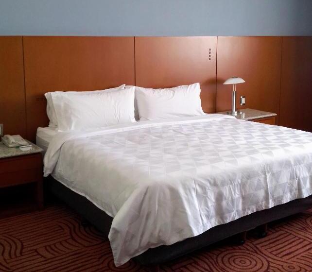اتاق اجرایی با تخت بزرگ, Holiday Inn Puebla Finsa, An Ihg