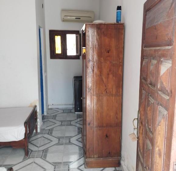 اتاق استاندارد, Jowhara