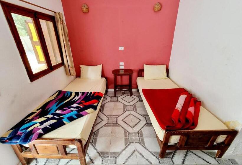 اتاق استاندارد, Jowhara