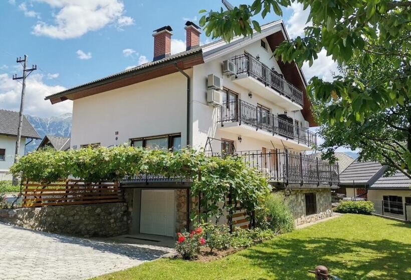 اتاق استاندارد, Apartments & Rooms Aleksandra
